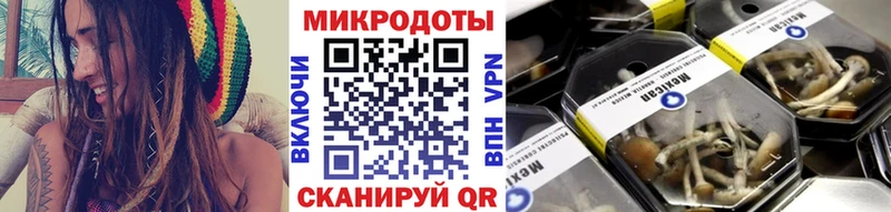 Псилоцибиновые грибы Magic Shrooms  Томари 